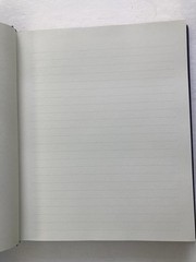 Versailles Journal (Notebook, Diary) Peter Pauper Press-192 Lined Pages