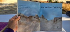 Thorn Bird Country, Catherine Marshall 1983 1st Edition Warner Books HCDJ Ex-Lib
