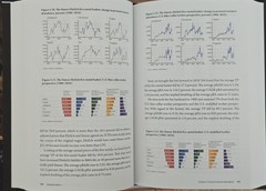 Superabundance: The Story of Population Growth, Innovation, and Human Flourishin