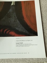Georgia O’Keeffe and the Faraway Nature and Image Museum Exhibition Catalog PB