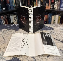 Glamorama – Bret Easton Ellis (1999, Hardcover) First Edition/Print, 1st/1st, VG