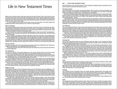NIV New Testament Outreach Bible Paperback Bulk Multi-Packs Choose Cover