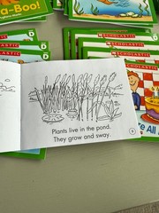 Scholastic Little Leveled Readers LEVEL D 75 Books (5 Copies 15 Titles) Box Set