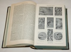 ANTIQUE BOOK Meyers Konversations-Lexikon ENCYCLOPEDIA Vol. 24 1911-1912 Germany