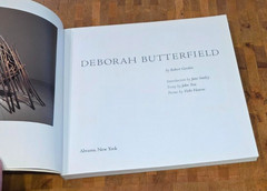 Deborah Butterfield by Robert Gordon Trade Paperback EUC