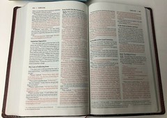 NIV Thinline Bible Charcoal/Maroon Christs Word Red 8.5x5x1 Silver Pg Edges Gift