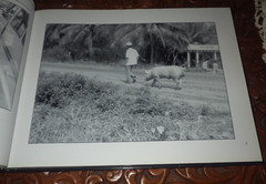 Peace in the Mekong Delta by Robert C. Wagner SIGNED BY THE AUTHOR!