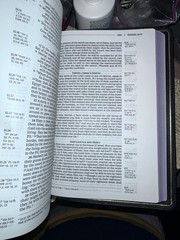 Zondervan NRSV Single-Column Ref Bible Premier Collection Black Goatskin (LN)