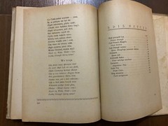 Lviv 1921 DRUGA KSIEGA DZUNGLI RUDYARD KIPLING Polish book VERY RARE