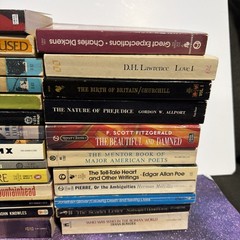 Lot of 38 Classic Paperback Literature Book Mix Signet Bantam Dante Dickens…