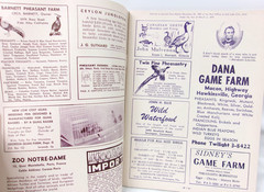 Vintage Game Bird Breeders Pheasant Fanciers Gazette Magazine February 1961