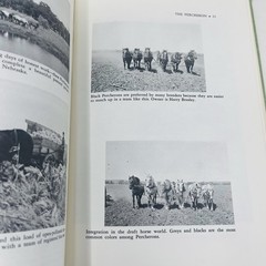 Gentle Giants Story of Draft Horses Stanley M. Jepsen 1973 HC 2nd Print Photos