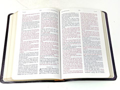 KJV Jack Van Impe Prophecy Bible Burgundy Leather Red Letter Limited Special Ed.