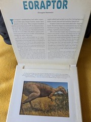 Dinosaur : A Photicular Book by Kathy Wollard & Dan Kainen education NF Science