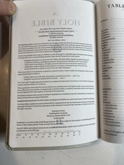ESV Large Print Value Thinline Bible (Trutone, River Stone, Branch Design)