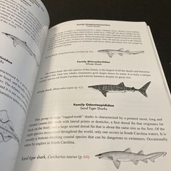 2004 SHARKS OF SOUTH CAROLINA BOOK by CHARLES H. FARMER, III, 144 PAGES, Illustr
