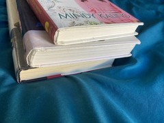 Lot of 3 Memoir Books Mindy Kaling Amy Poehler Parker Posey Hardcover Yes Please
