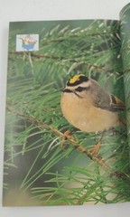 A Field Guide To The Birds Of North America Paperback 255 Pages Copyright 2007