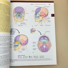 Memmler’s The Human Body in Health & Disease Cohen Hull 14th Ed. Wolters Kluwer