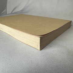 Rhetorical Guide The Borzoi College Reader, Richard L. Larson 1967