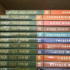 Magic Tree House Books 1-28 Set by Mary Pope Osborne See Pics