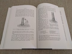 Logging: The Principles and General Methods of Operation in the United States