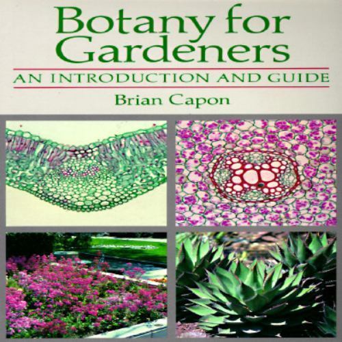Botany for Gardeners : An Introduction and Guide by Brian Capon (1992, Trade …