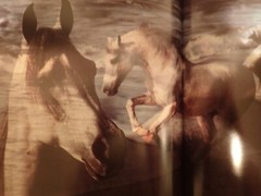 Robert Vavra – Horses of the Sun – Signed(somewhat uniquely)