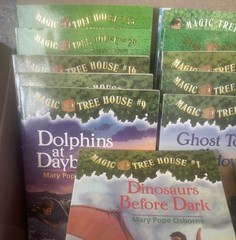 The Magic Treehouse books lot of 17
