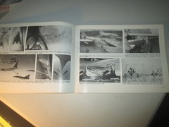 Lot 3 Squadron Signal Publications Aircraft In Action Books USN Spitfire Delta