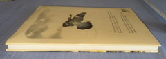 NOAH’S ARK English Edition by Rien Poortvliet Good Oversized HC/DJ USED