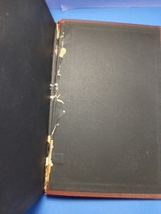 The Life and Times of Niccolo Machiavelli Vol. 2 Book 1891 Volume II Padquale