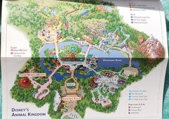 Disney World Zagat Insiders Guide 2007 Trade Paperback 175 Pages & Rare Maps