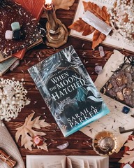When the Moon Hatched: A Fast-Paced Romantasy with Undeniable Chemistry in a…