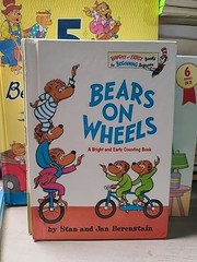 Berenstain Bears Lot 8+ Books by Stan & Jan Berenstain – Hardcover Children’s Bo