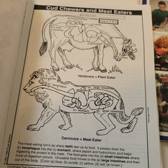 Christian Homeschool science Student Workbook & Teacher’s Manual. God’s creation