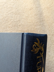 Waterstones SIGNED Exclusive – Fury Bound – Sable Sorensen