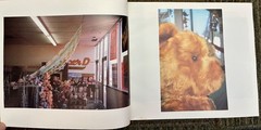 David BYRNE/True Stories/Autographed/Photography/1986/Pbk/Free Shipping