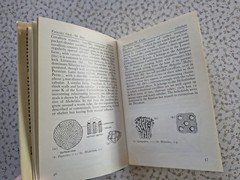 The Observer’s Book of Fossils by Rhona M. Black 1977 First Edition Hardback
