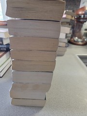 Susan Wiggs Lot Of 9 PB One Is A 2-in-1 With Another Author Total 10 Stories
