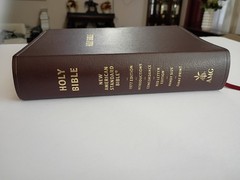 Giant Print Handy Size Bilbe NASB Amg 2011 Burgandy Imitation Leather 1977 ED