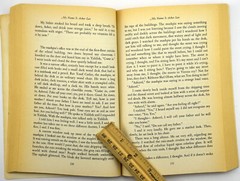 My Name Is Asher Lev – Paperback By Potok, Chaim 1996 – GOOD