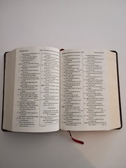 Giant Print Handy Size Bilbe NASB Amg 2011 Burgandy Imitation Leather 1977 ED