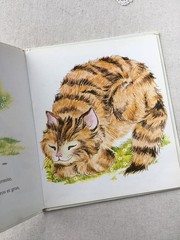 French Vintage Picture Book Jean de La Fontaine Fables 22cm Hardcover 24p
