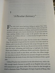The Big Burn: Teddy Roosevelt and the Fire that Saved America