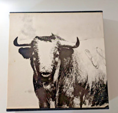 BULLS OF IBERIA by ROBERT VAVRA 1ST EDITION. 1972 HARDCOVER