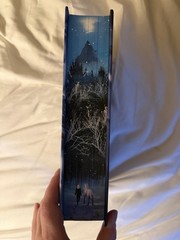 Dire Bound by Sable Sorensen FairyLoot Edition Hand Signed