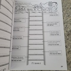 Reading & Phonics Bundle Grades 4–6 – Word Ladders + Daily Phonics Workbooks