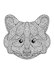 Raccoon and Friends Coloring Book 108 Pages 8.5 x 11 for All Ages