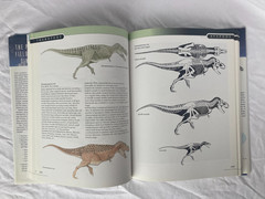 Princeton Field Guide to Dinosaurs – Gregory S. Paul – 2010 1st Edition HC/DJ